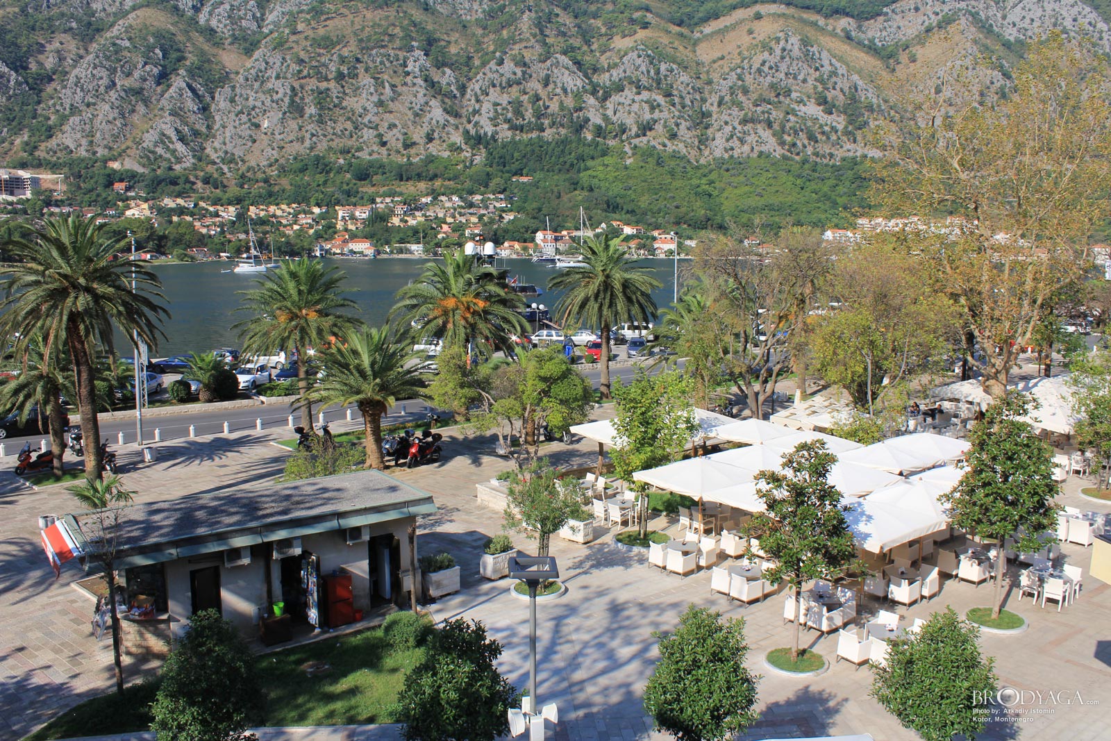 Kotor
